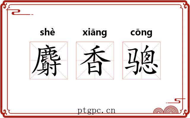 麝香骢