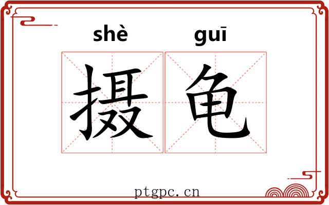 摄龟