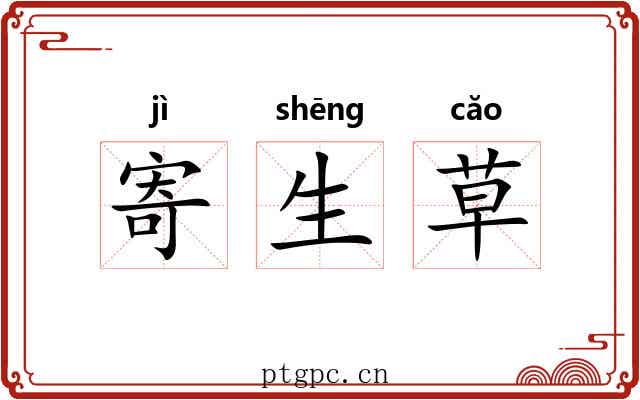寄生草