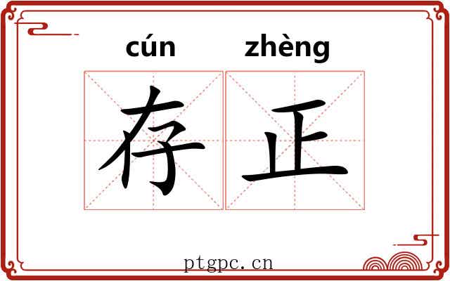 存正