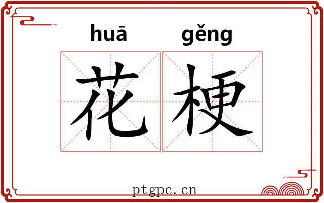 花梗 花梗