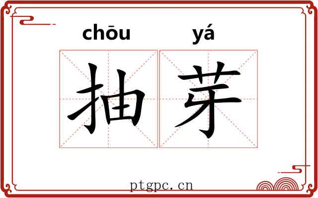 抽芽