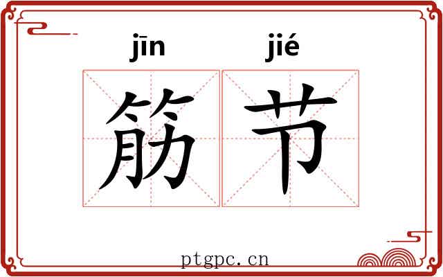 筋节