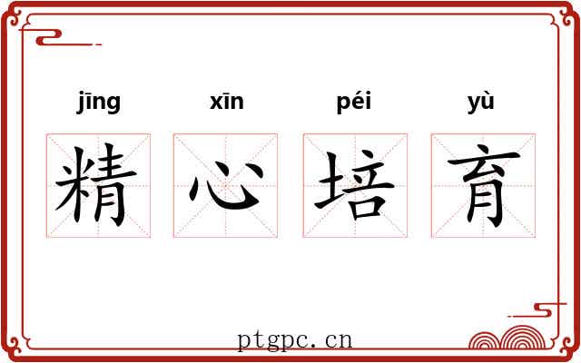 精心培育 精心培育
