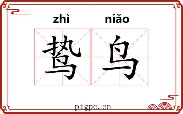 鸷鸟
