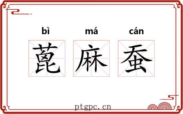 蓖麻蚕 蓖麻蚕