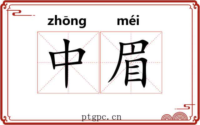 中眉