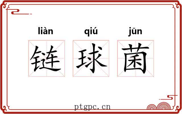 链球菌 链球菌