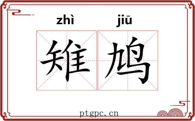 雉鸠