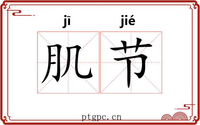 肌节