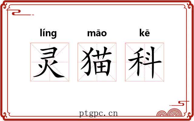灵猫科