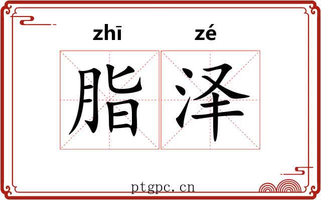 脂泽