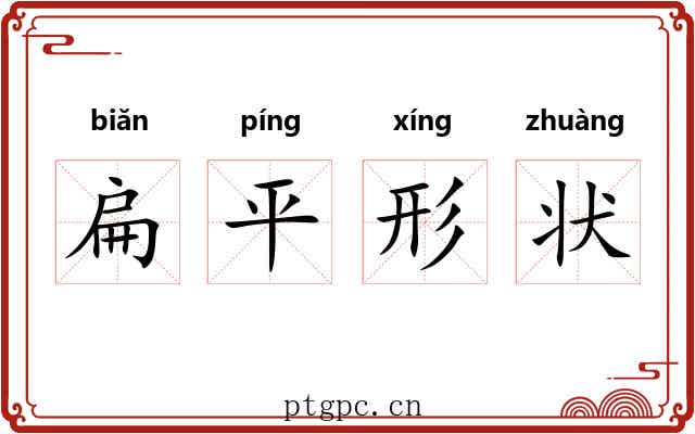 扁平形状 扁平形状