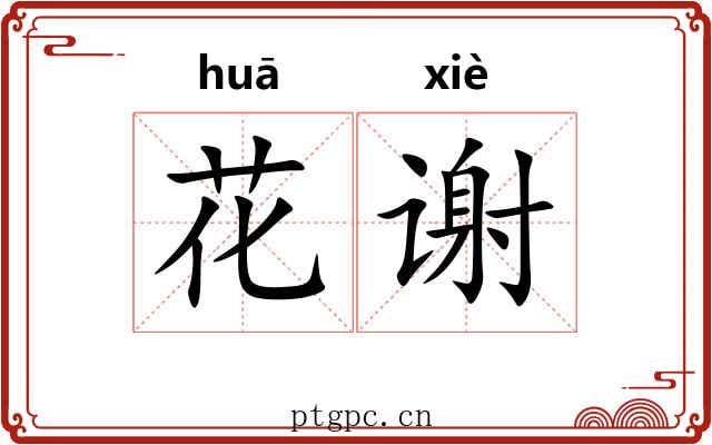 花谢 花谢