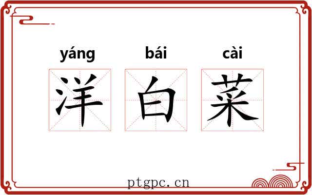 洋白菜