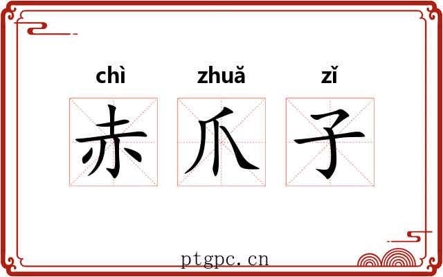 赤爪子