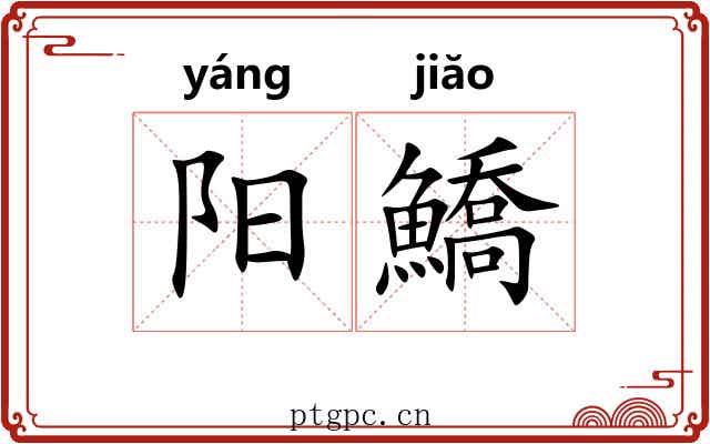 阳鱎