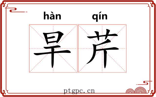 旱芹