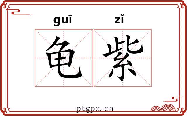 龟紫