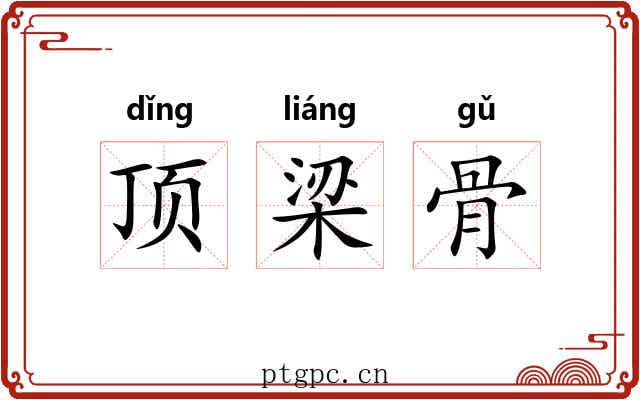 顶梁骨