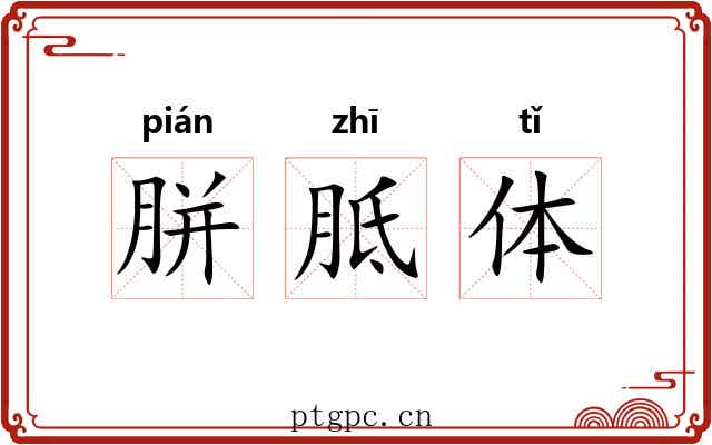 胼胝体