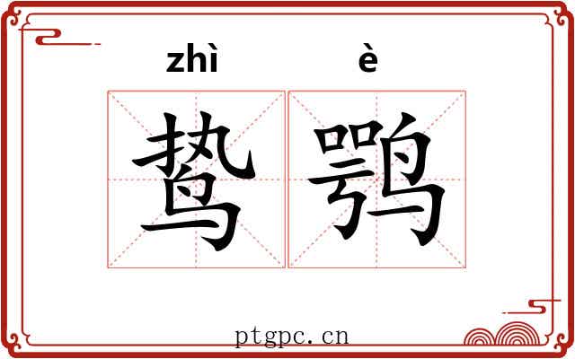 鸷鹗