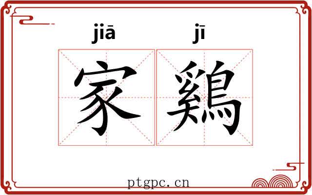 家鷄 家鷄
