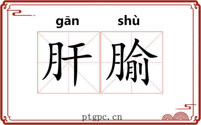 肝腧