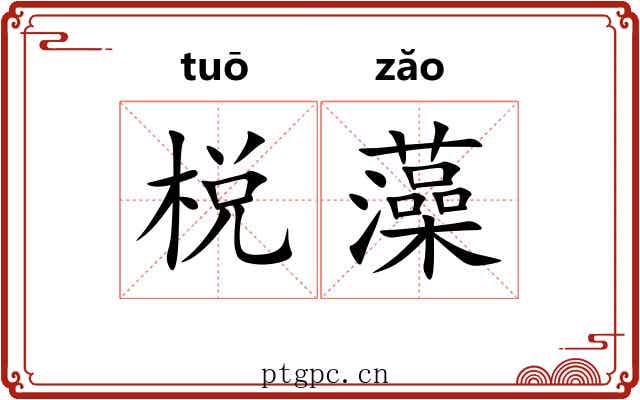 棁藻 棁藻