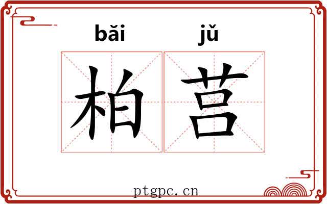 柏莒
