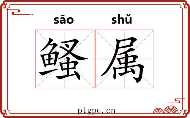 鳋属