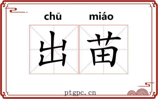 出苗