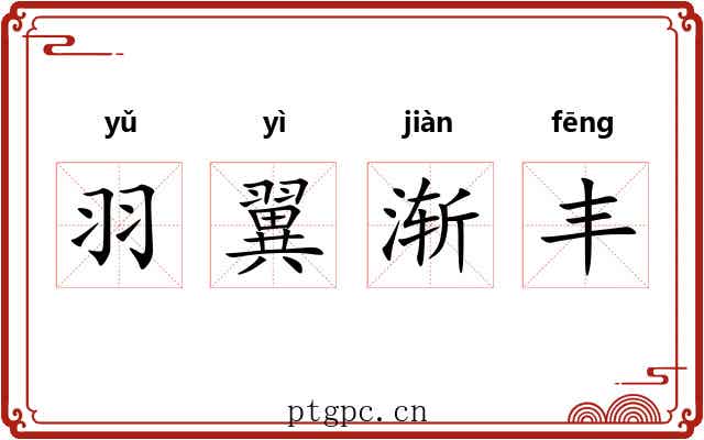 羽翼渐丰