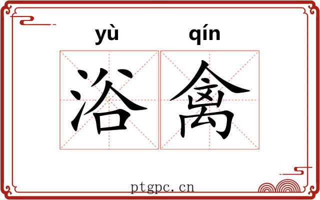 浴禽