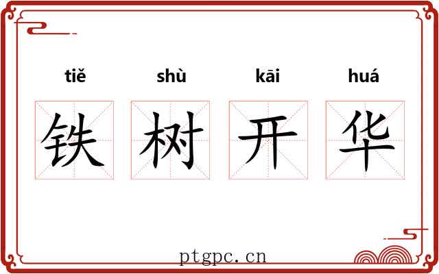 铁树开华