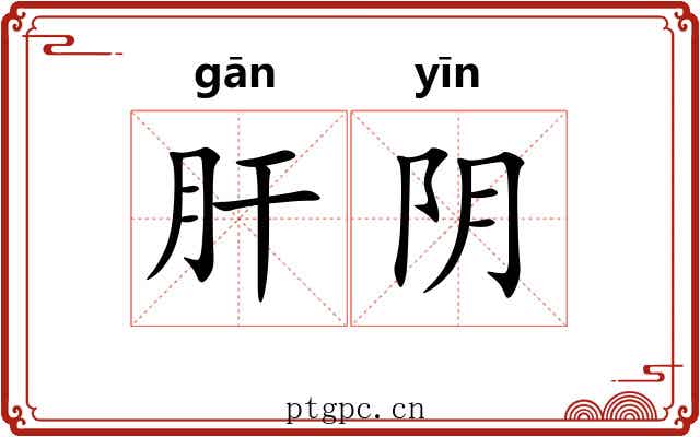 肝阴 肝阴