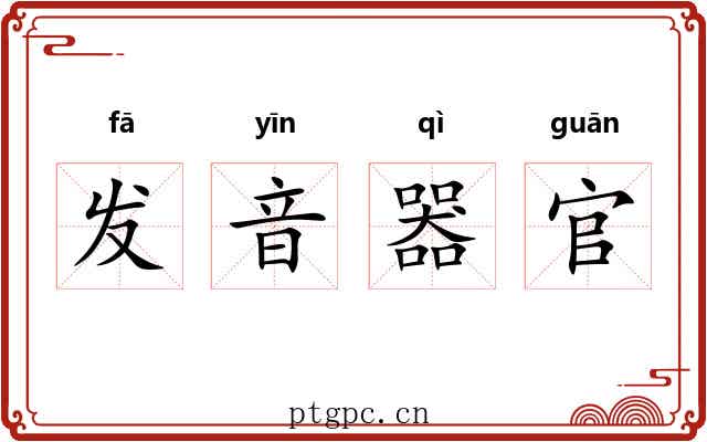 发音器官