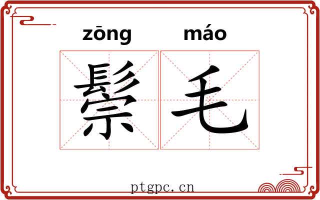 鬃毛 鬃毛