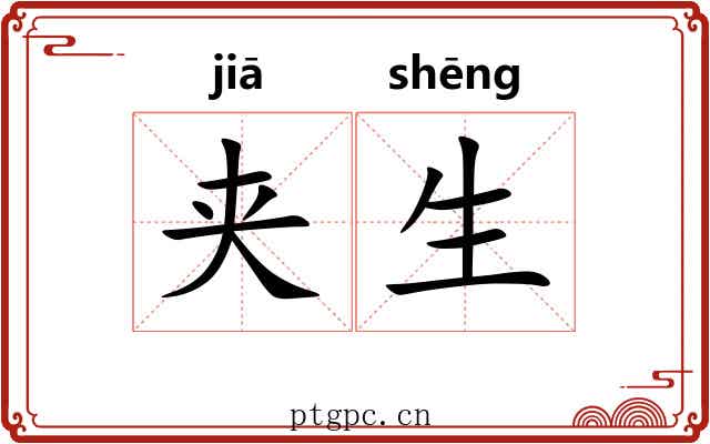 夹生