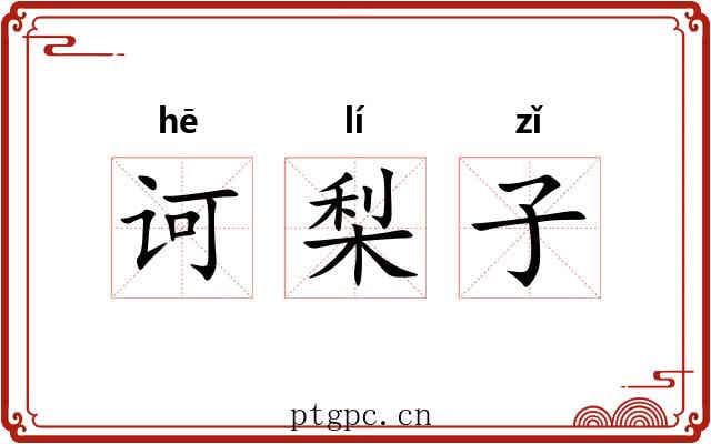 诃梨子