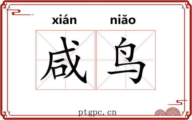 咸鸟