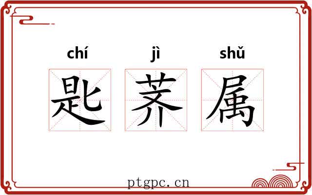 匙荠属