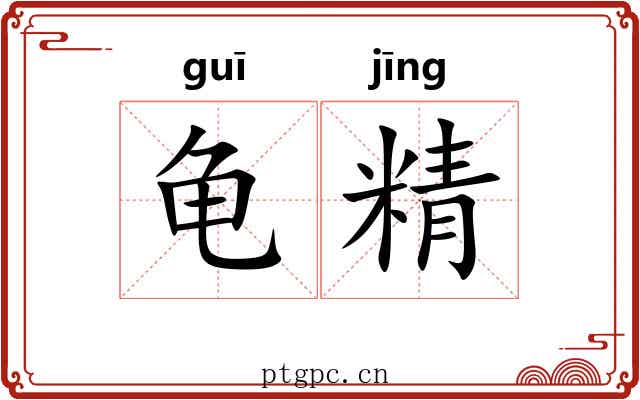 龟精