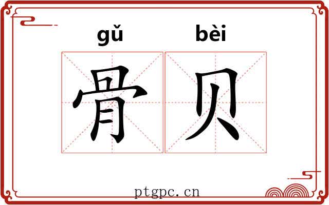骨贝 骨贝