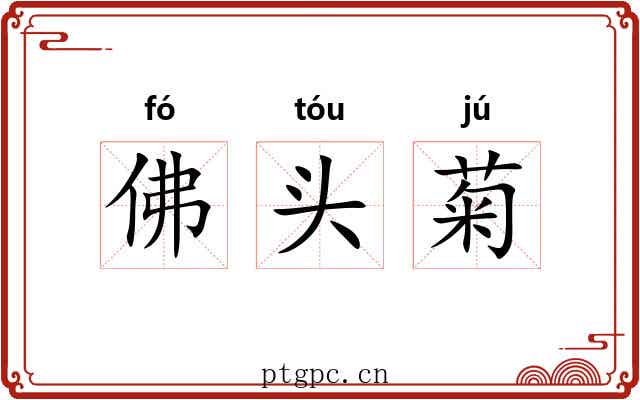 佛头菊
