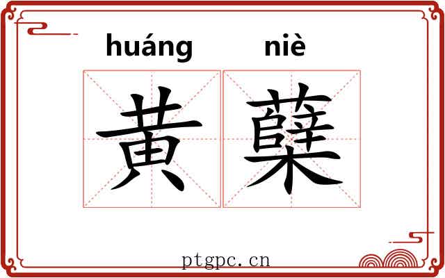 黄蘖