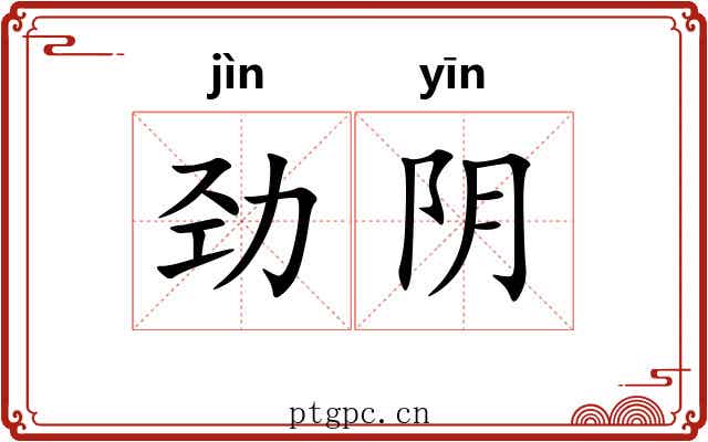 劲阴