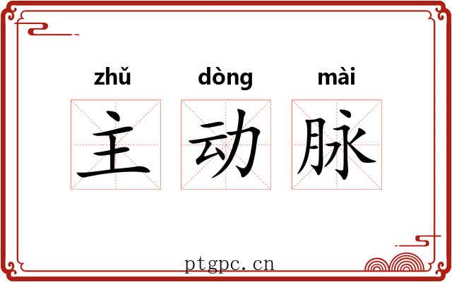 主动脉