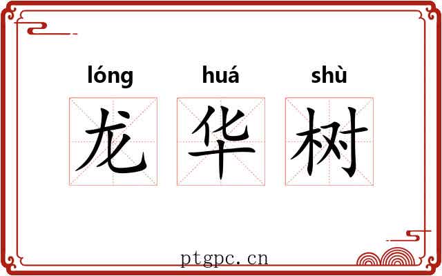 龙华树