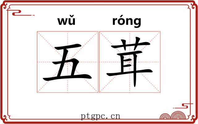 五茸